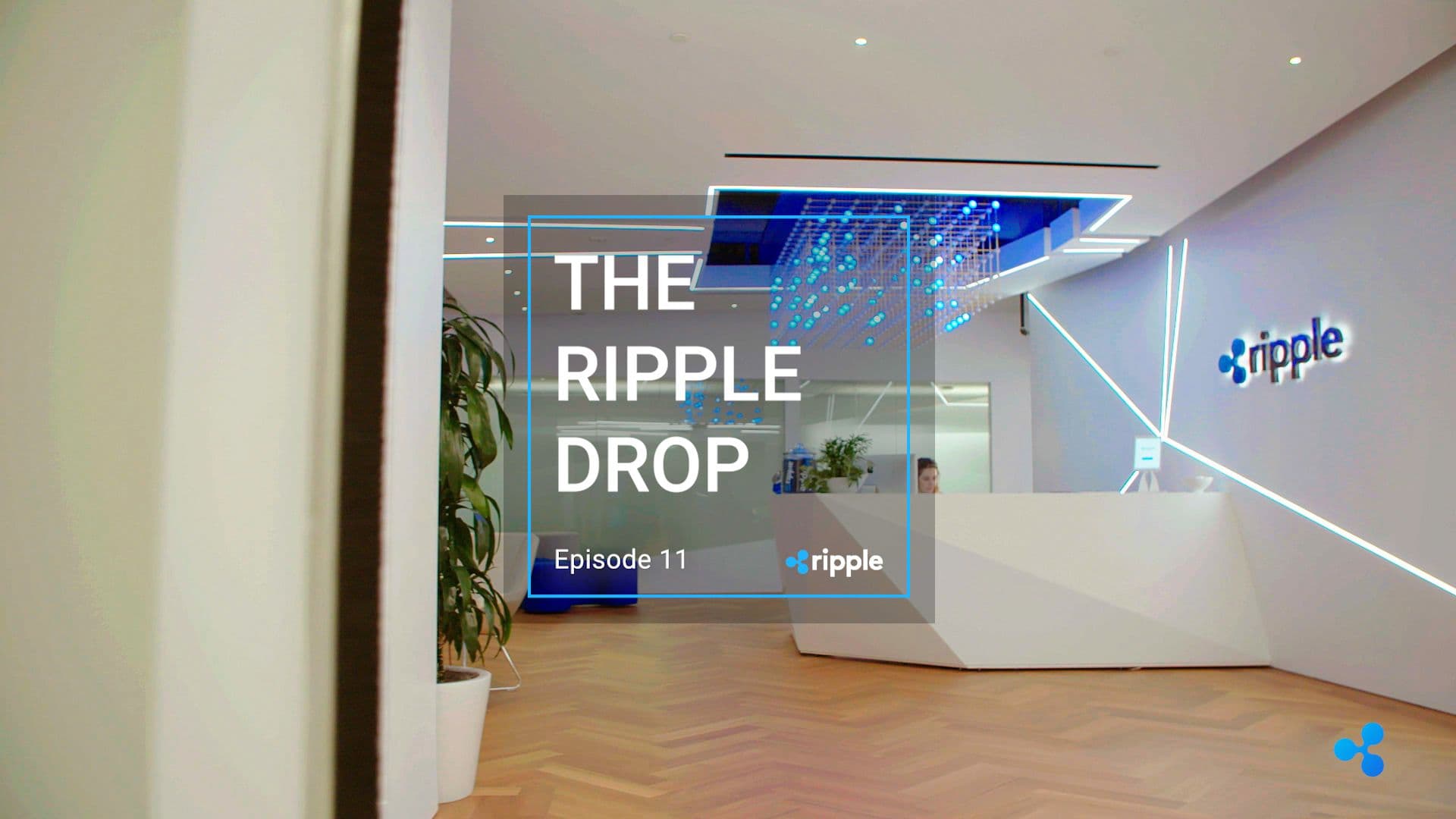 Image for The Ripple Drop – Episode 11