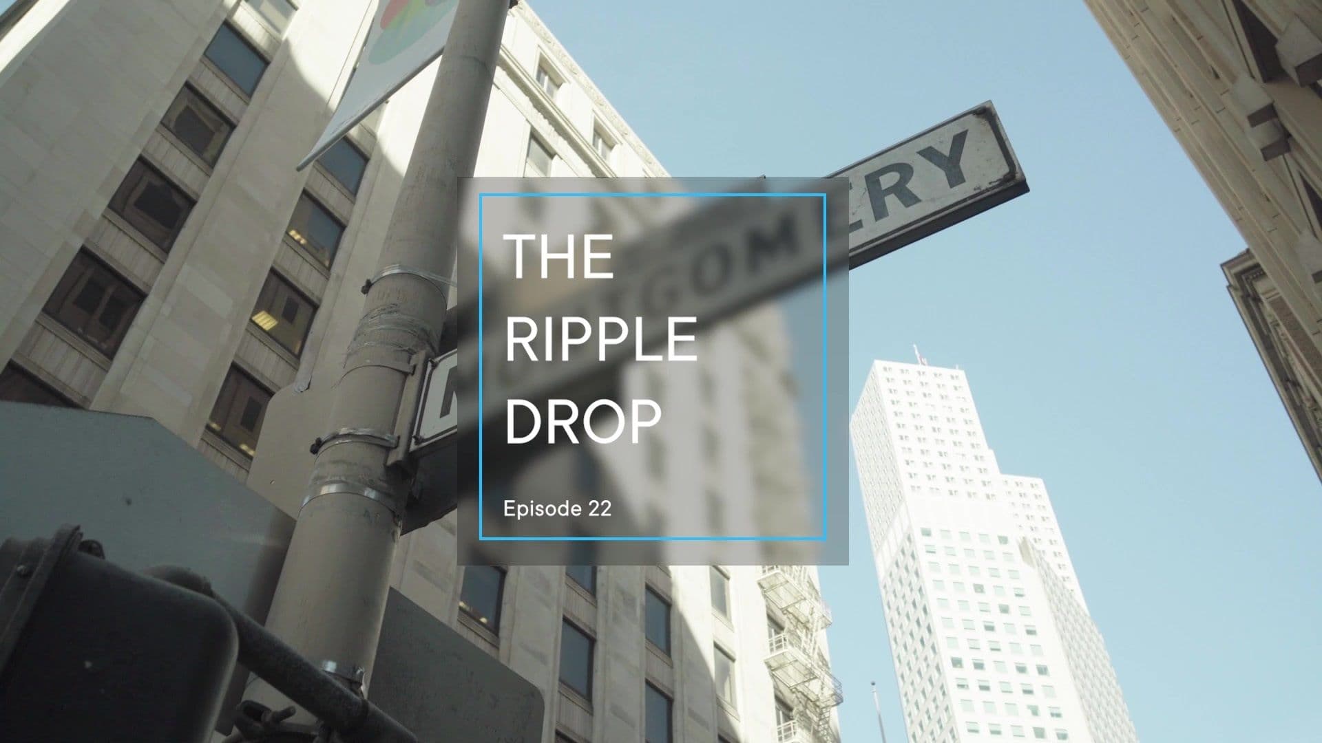 Image for The Ripple Drop: Digital Acceleration, Developer Communities and U.S. Policy
