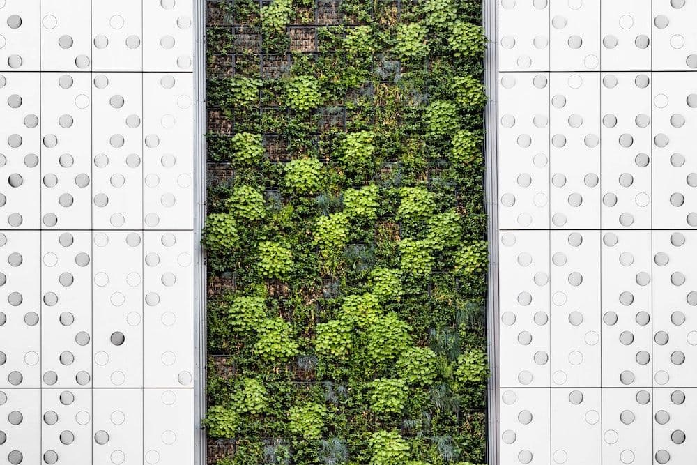 Image for A Greener Future for Crypto and Blockchain