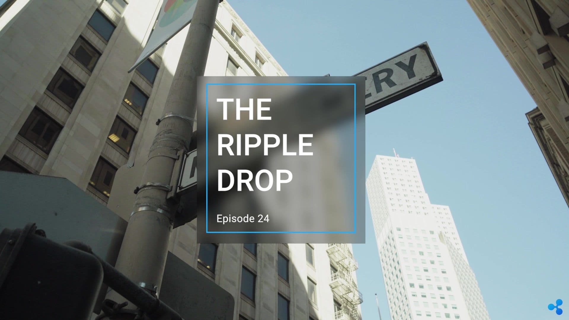 Image for The Ripple Drop: Machine Learning on RippleNet, Developers Building on the XRPL & CBDCs on the XRP Ledger