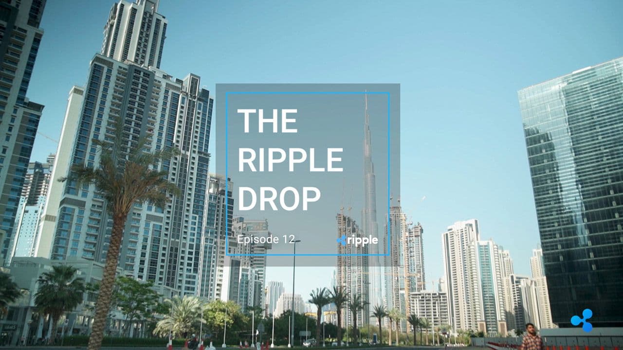 Image for The Ripple Drop – Episode 12