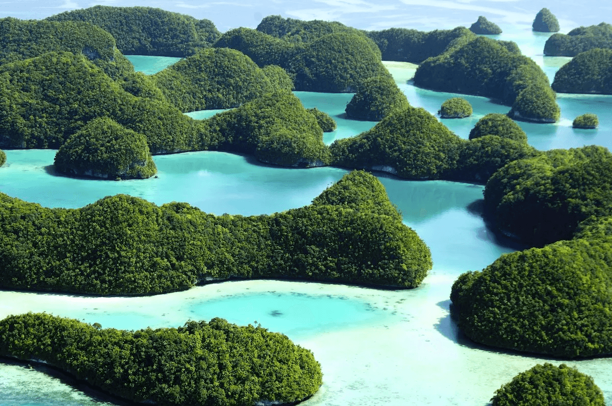 Republic of Palau Partners with Ripple to Develop Digital Currency Strategy