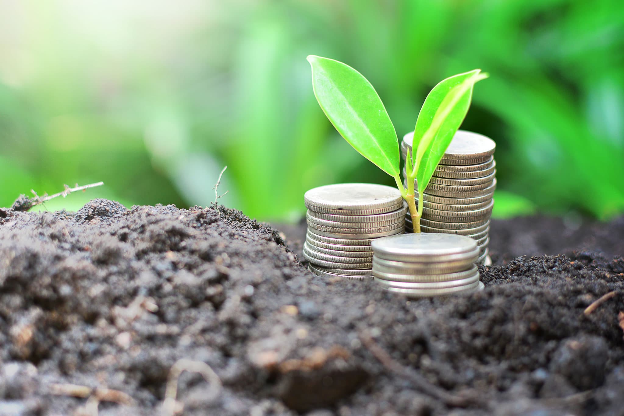 Image for 50 Years of Earth Day: A Look at the Sustainability of Currency