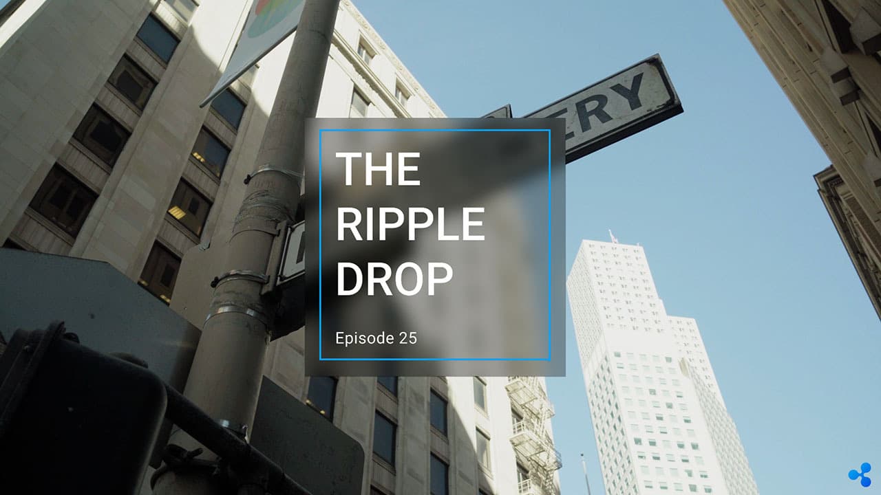 Image for The Ripple Drop: From the 2021 Apex XRPL Developer Summit