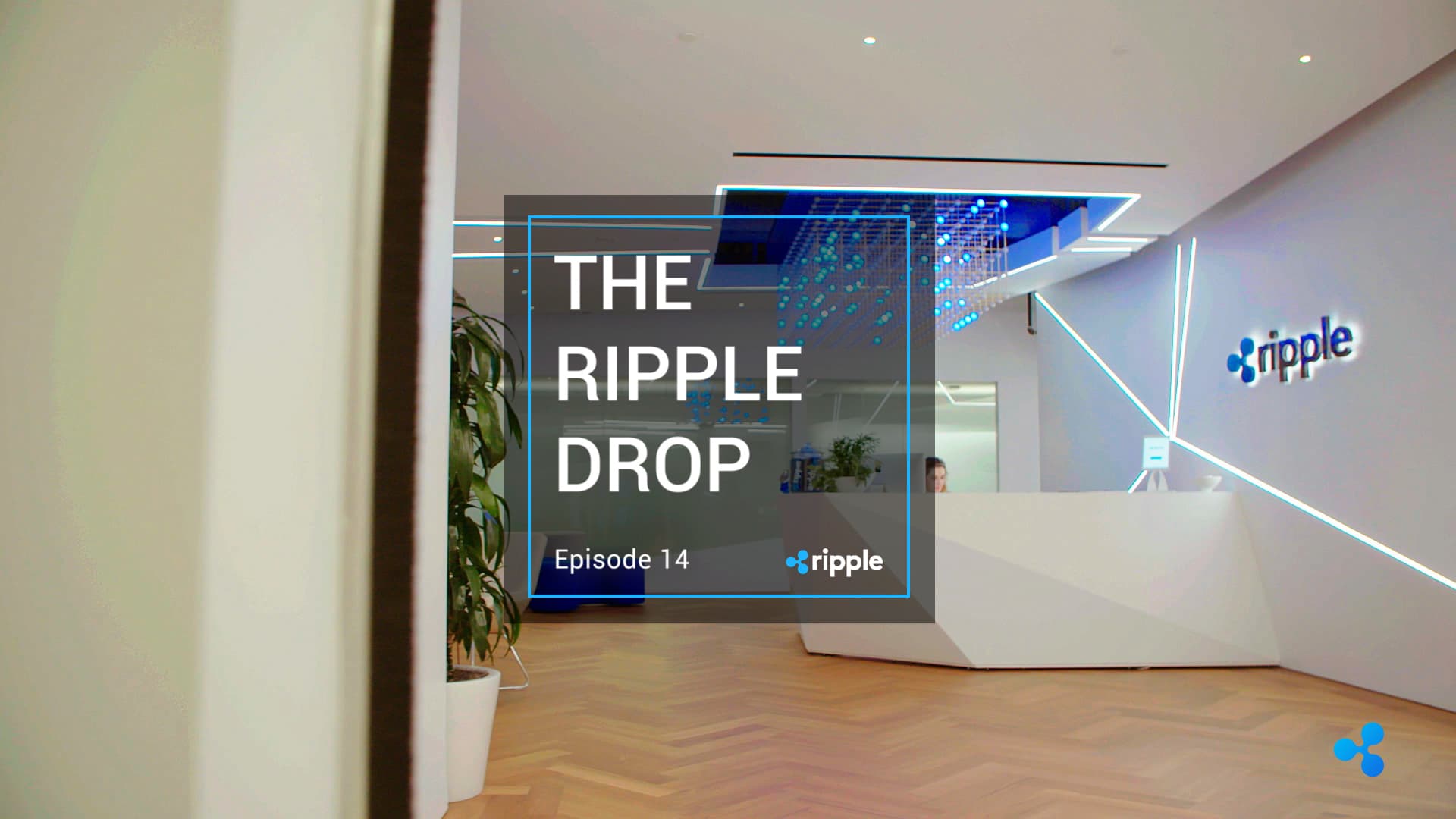 Image for The Ripple Drop - Episode 14