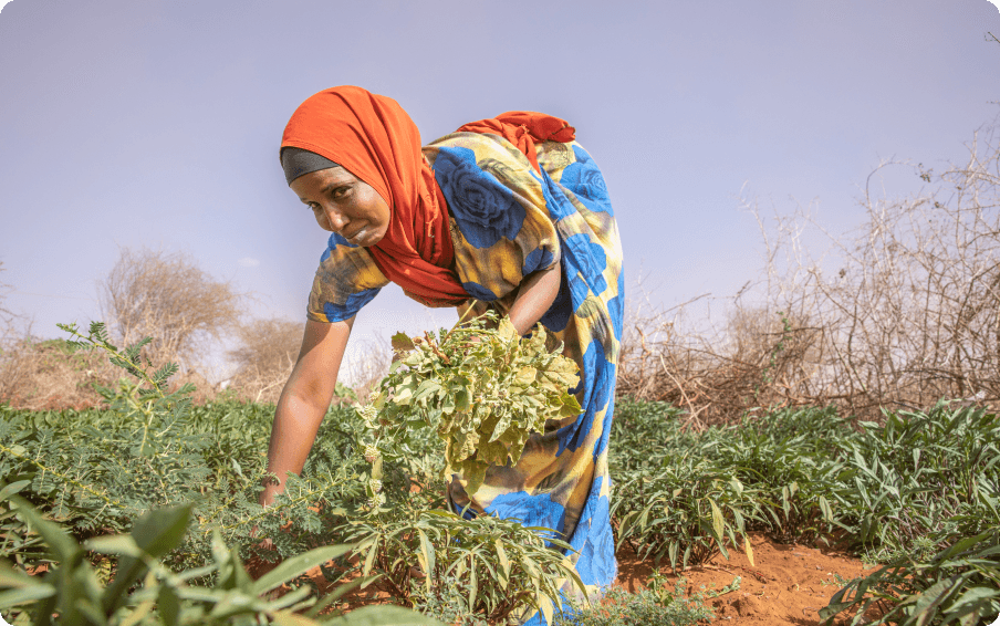 Mercy Corps - Ejara Pilot - Spotlight 2