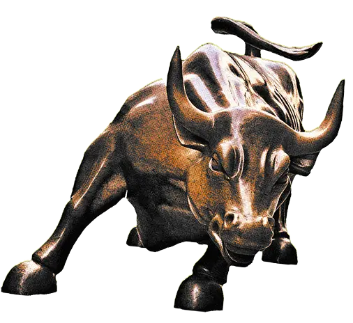 Image of bull market